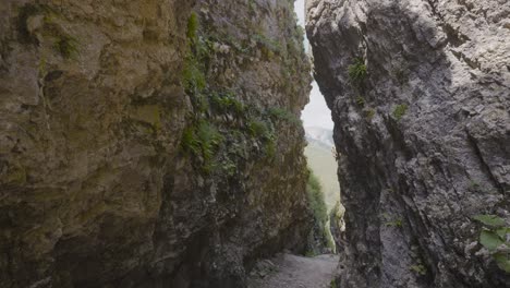 rocky mountain canyon