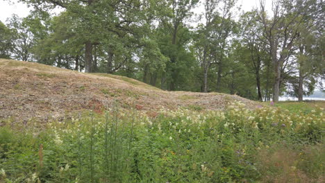 borre mound cemetery son antiguos túmulos funerarios del período vikingo