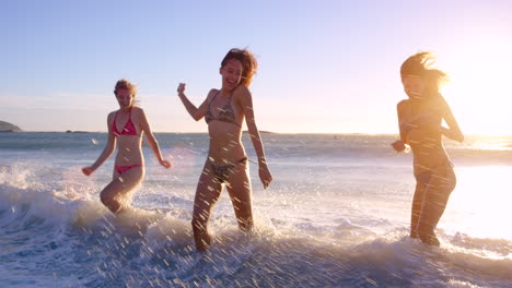 the beach is home for them