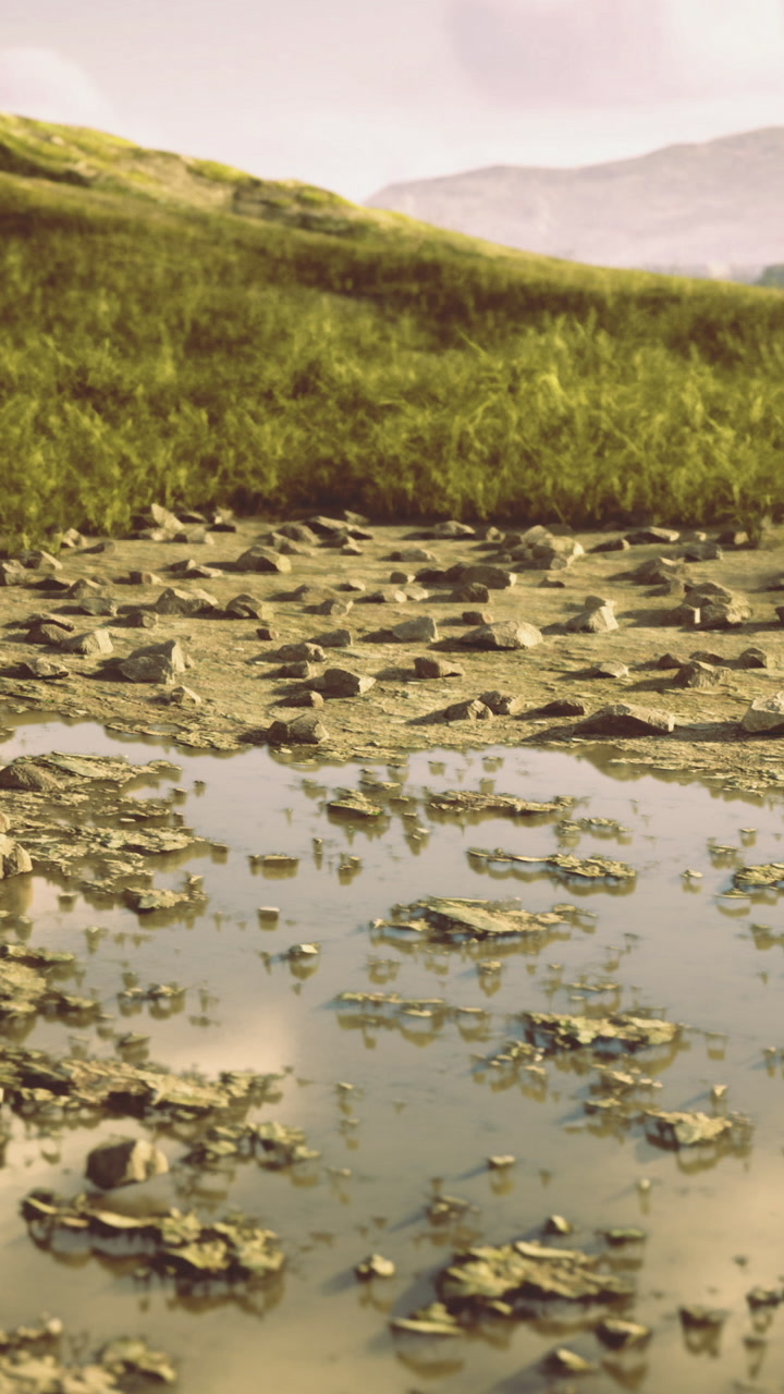 Reflection on the water at a muddy area with grass and rocks in the background