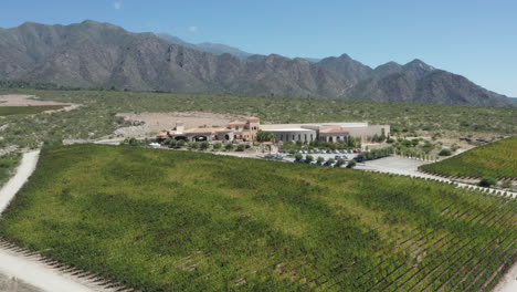 Aerial---vineyard-in-the-Andes-Mountains,-Argentina,-wide-circle-shot