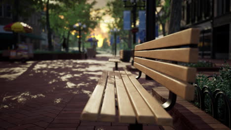 quiet city park with trees and benches