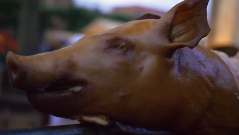 cerrar todo el cerdo en la barbacoa escupir siendo asado clásico tradicional abierto barbacoa pozo