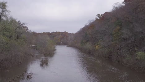 trees near river in pennsylvania