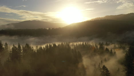 flying through the thick misty fog towards the gloriously soft golden light of the sun