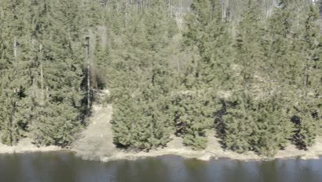 hiking along beautiful lakes in the harz national park in germany, europe