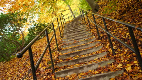 autumn leafs on the park stairs