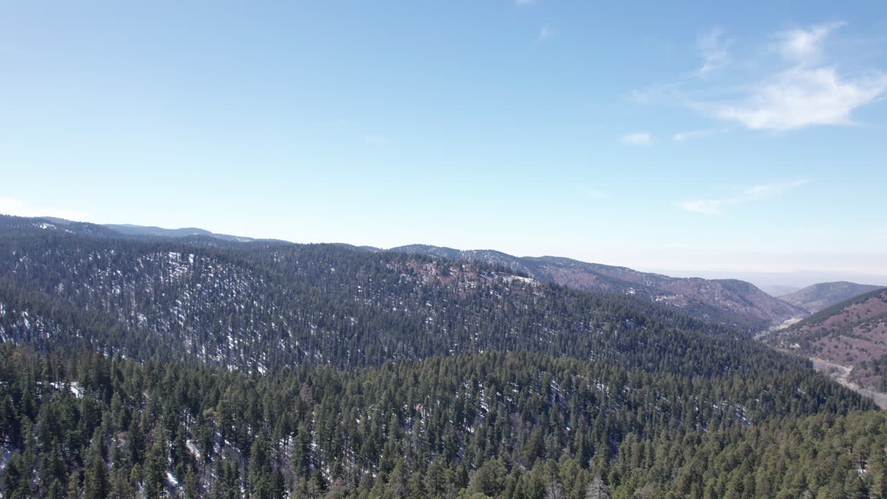 vista aérea sacar de los bosques de pinos que cubren las montañas en nuevo méxico