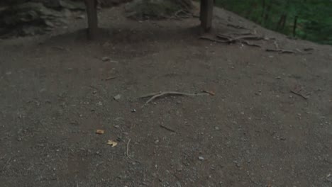 Wooden-bench-in-the-forest