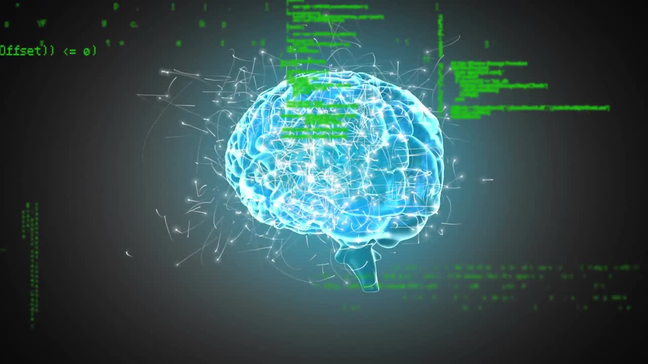 디지털 두뇌와 프로그램 코드