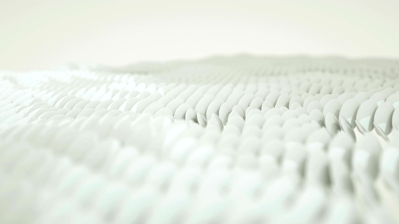 타원형 입자 (백색) - 루프 가능