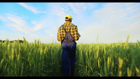 agricultor en un campo de trigo