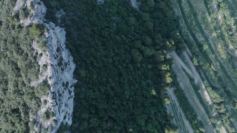 Aerial-Drone-Top-Down-shot-Vaucluse-Provence-Dentelles-Montmirail-France