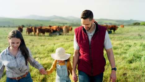 farmer family, cow farm and field walk with girl