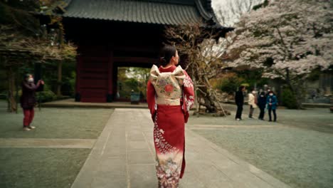 woman in kimono at a japanese temple during cherry blossom season