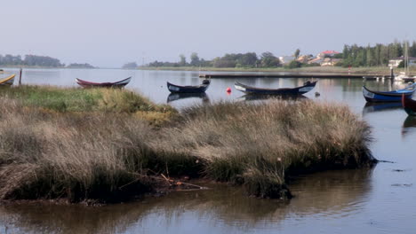 muelle para barcos de pesca construido en madera y artesanal, un espacio de juncos divide el río en dos