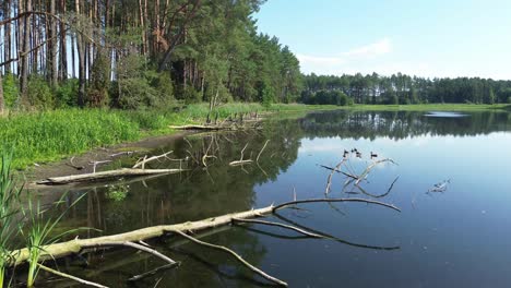 "Drone-soars-over-Europe's-dawn-lit-lake,-unveiling-a-serene-lagoon,-lush-forest,-and-an-elegant-bridge