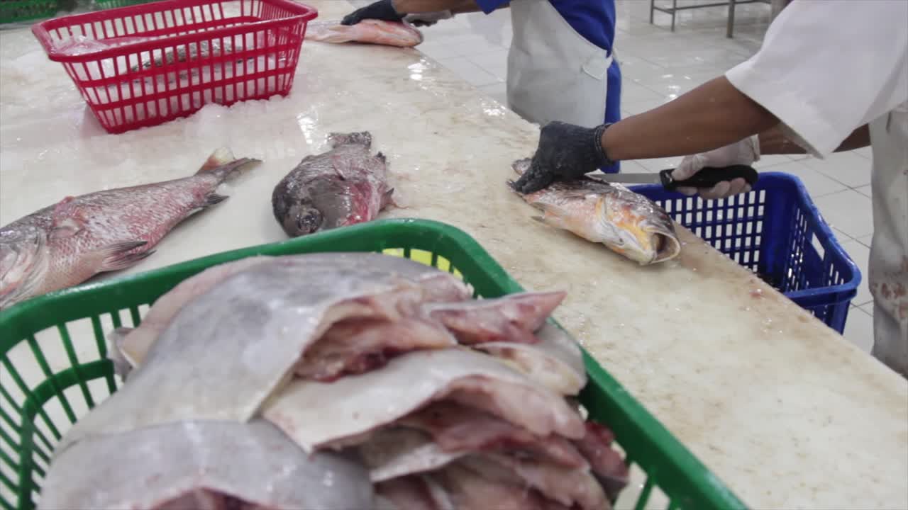 primer plano de carne de pescado de mar recién cortada