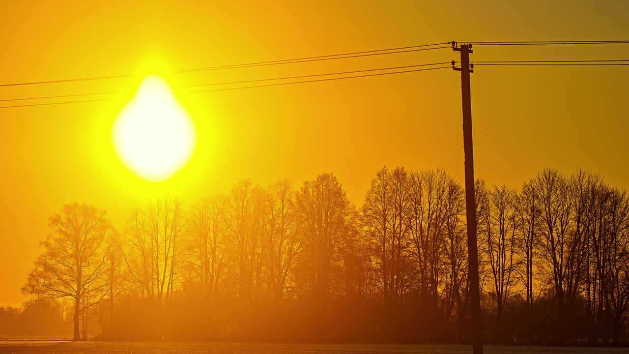 timelapse disparó sobre árboles de sol dorado saliendo en el cielo amarillo brillante a lo largo de la mañana