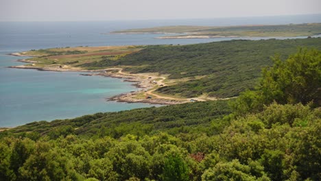 A-picturesque-coastline-with-the-sea-in-the-distance-and-foliage-near