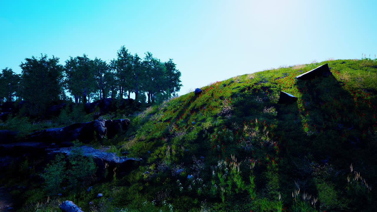 mañana de verano brumosa en las montañas