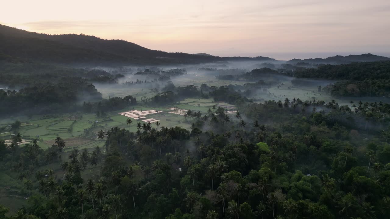 dron volando sobre la selva y los campos de arroz durante el amanecer con niebla baja