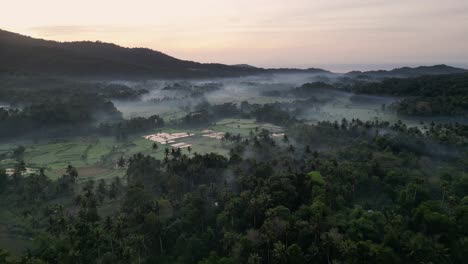 drone flying over jungle and rice fields during sunrise with low lying mist