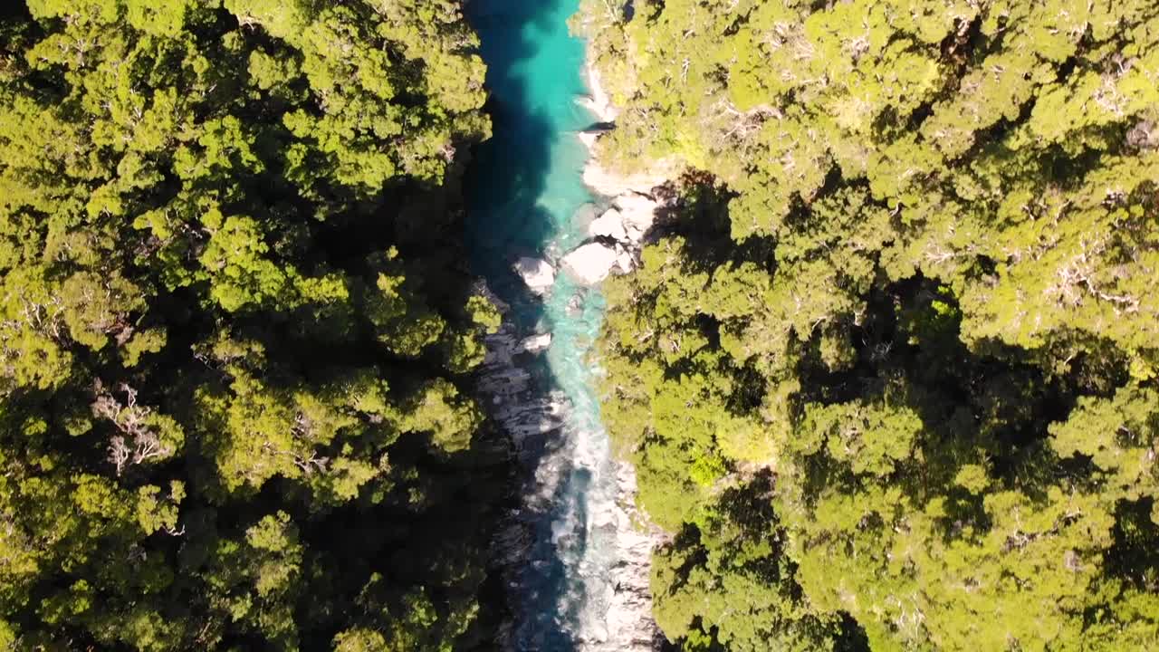 paisaje verde exuberante de las piscinas azules del río makarora en la costa oeste, nueva zelanda durante el verano