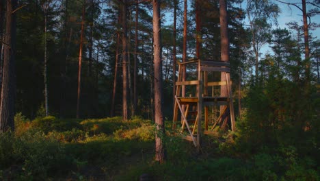 torre de caza en un bosque sueco