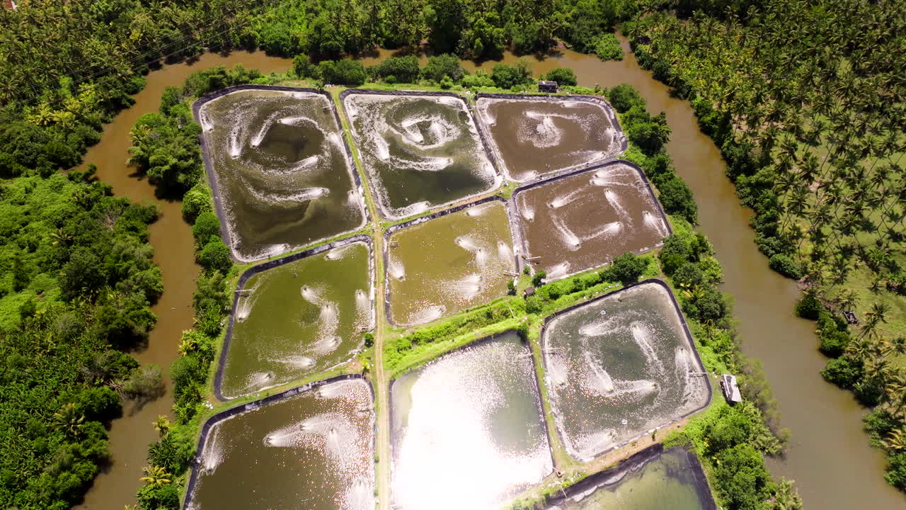 Aerated shrimp farming ponds next to river in Bali countryside, aerial view