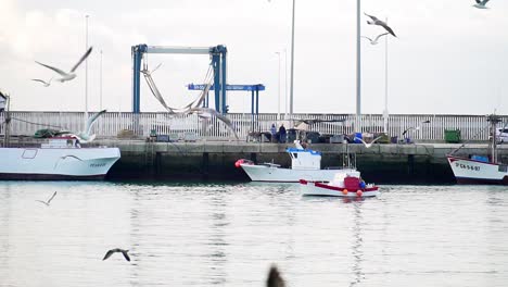 port area with cranes and some boats and seagulls flying