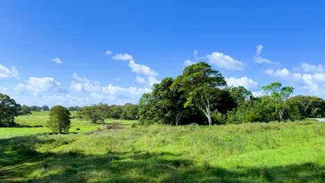 a vehicle travels along a rural dirt track through a vibrant green field bordered by trees under clear blue skies, with bright natural daylight