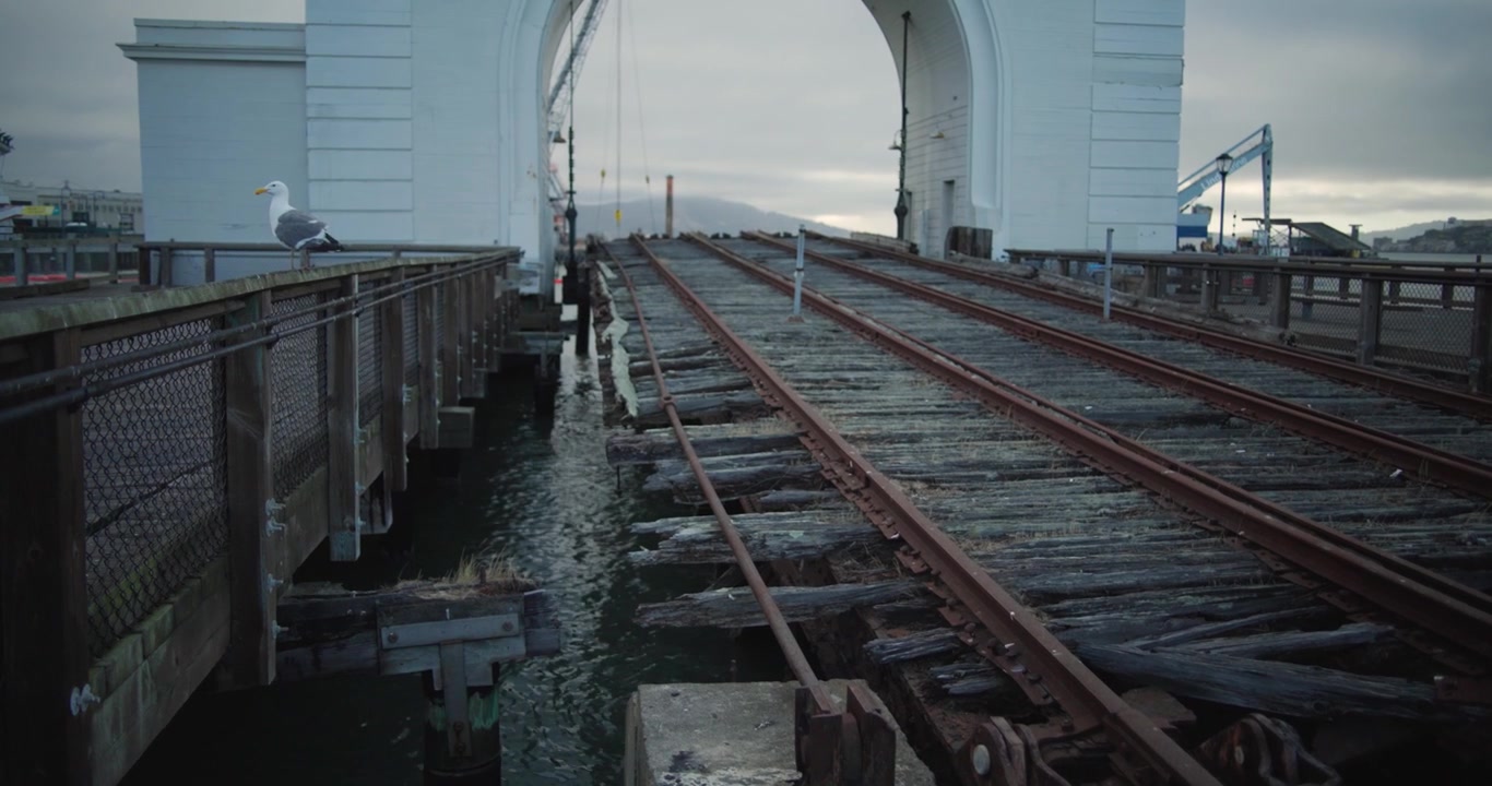 4K cinematiskt handhållet skott av en mås som sitter bredvid övergivna järnvägsspår vid en pir i San Francisco. Rostiga räls och väderbitet trä skapar en industriell strandscen i skymningen