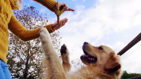 Woman-playing-with-her-dog-in-ranch-4k