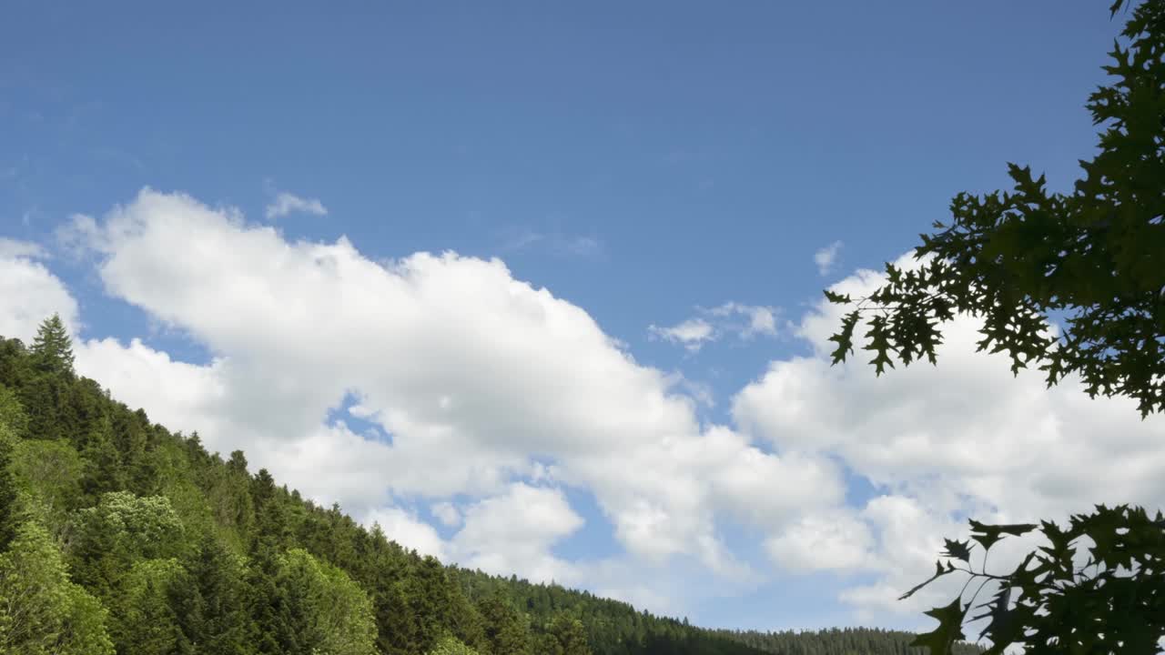 파란 하늘과 큰  구름을 가진 타임 스 숲 산 (vosges, 프랑스)