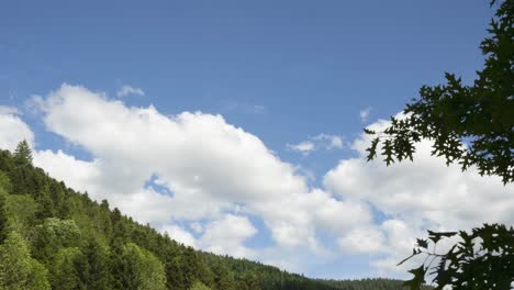 파란 하늘과 큰  구름을 가진 타임 스 숲 산 (vosges, 프랑스)