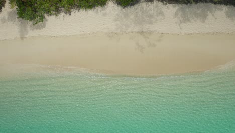 Hermosas-Olas-Salpicando-Suavemente-En-La-Costa-De-Fiji-Con-Arena-Blanca-Y-árboles-En-Un-Día-Caluroso-Y-Soleado---Toma-Aérea