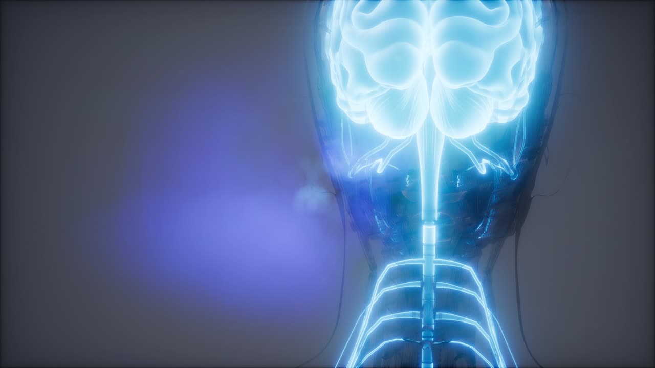 esame radiologico del cervello umano