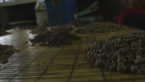 巴厘島的咖啡豆 (balinese coffee beans)