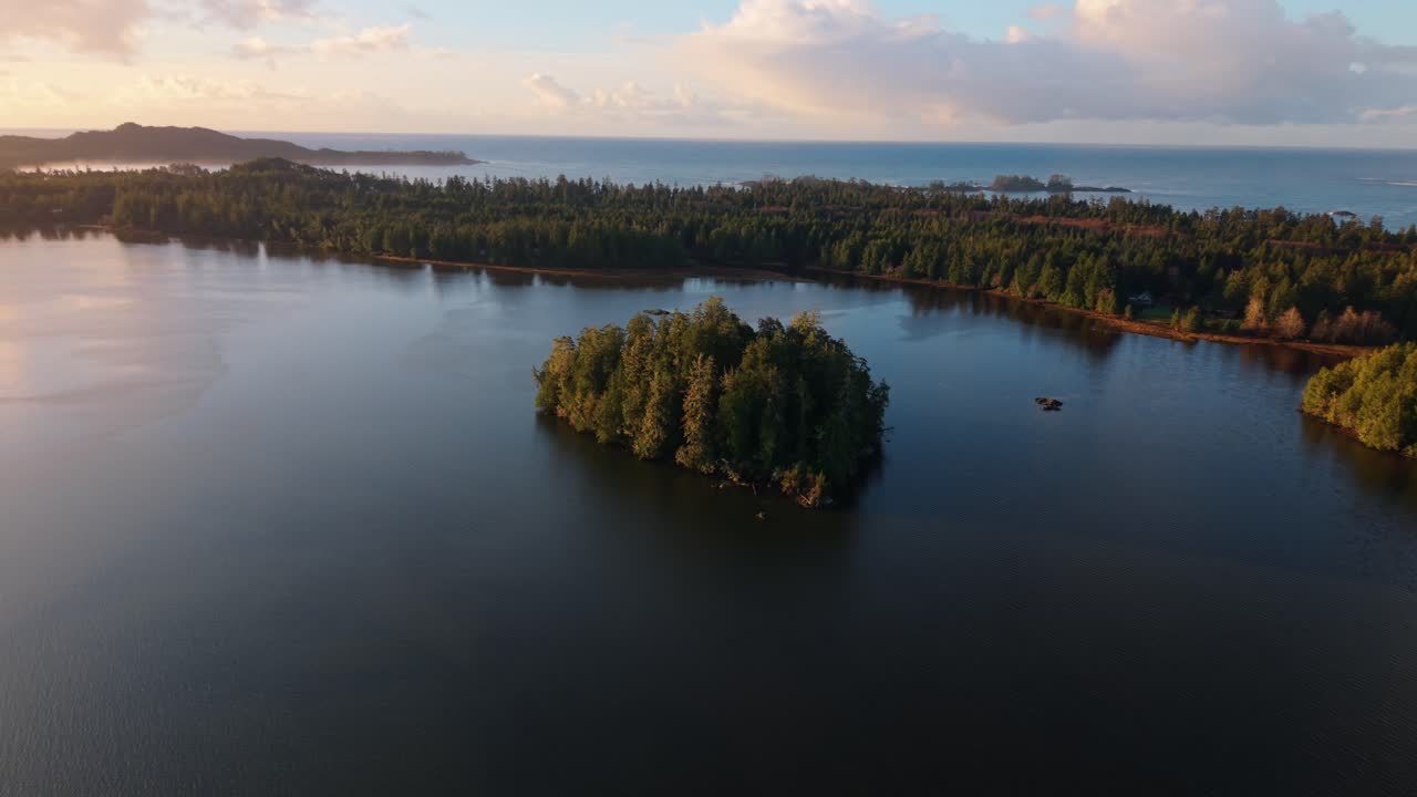 tomada de drone de tofino en la isla de vancouver que muestra colores de otoño, costa escarpada y olas del océano en una vista aérea panorámica.