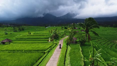 Aerial-video-in-an-amazing-landscape-rice-field-on-Jatiluwih-Rice-Terraces,-Bali,-Indonesia,-with-a-drone,-above-rice-terraces-in-a-beautiful-day-rice-field