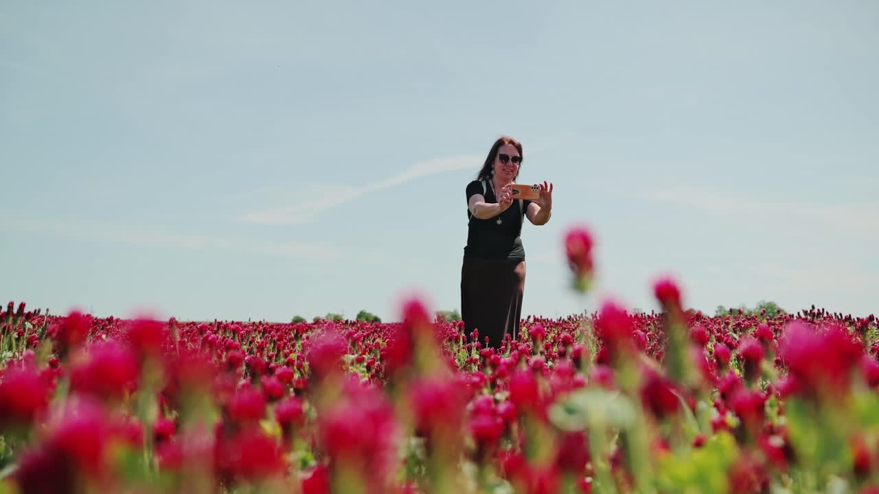Middle aged woman takes photo in blooming crimson clover field during sunny day