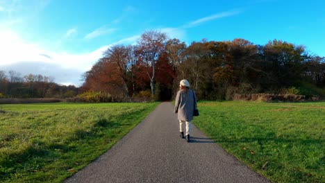 autumn in amsterdam's vondelpark on a sunny day