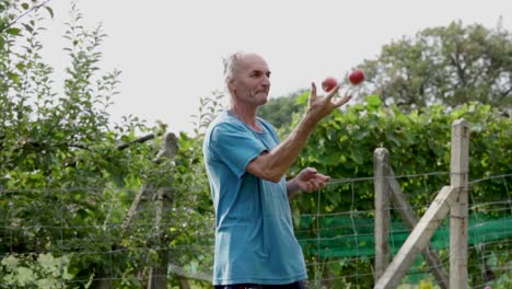 Senior-caucasian-male-juggling-with-two-ripe-apples-during-autumn-harvest,-SLOW-MOTION