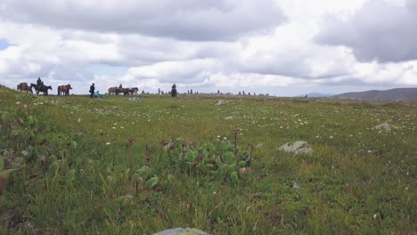 hikers and horseback riders on a mountain meadow