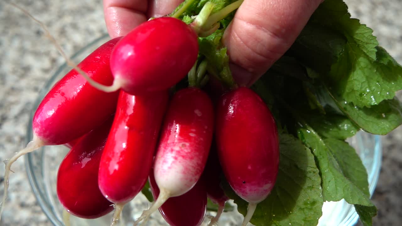 El cocinero saca rábanos del agua. Cámara lenta
