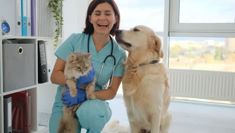 doctor with cat and dog in clinic