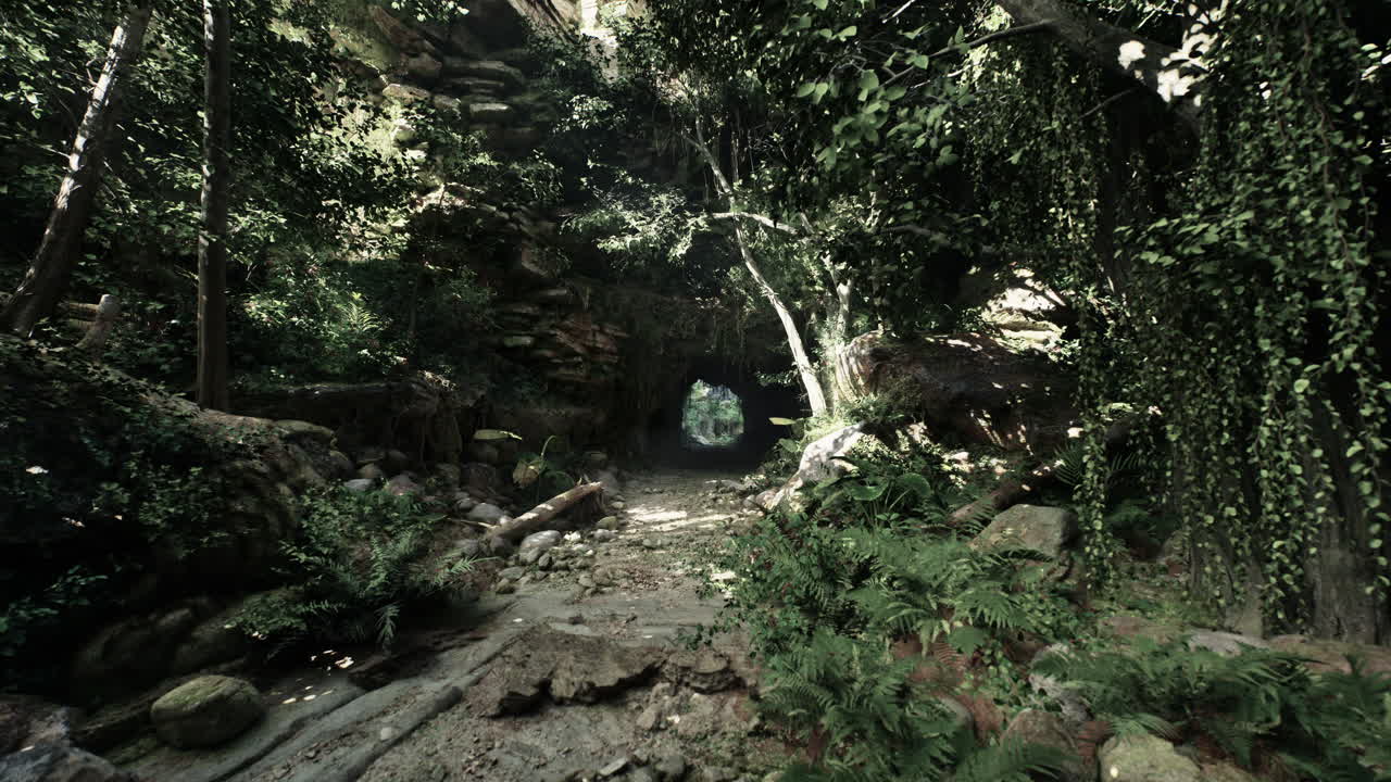 은 길 은 울창 한 숲 을 가로지르고 있다