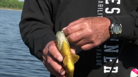 un hombre con un pez en la mano junto al lago - de cerca