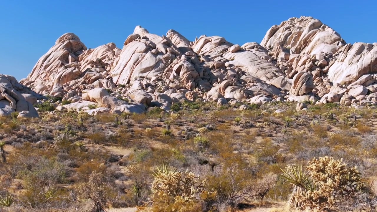 Formazione rocciosa di alberi di Yucca, dune di Kelso Pinto Basin, Parco Nazionale di Joshua Tree, California. Vista aerea con drone sulla Contea di San Fernando, deserto del Mojave Colorado, cielo blu, pomeriggio soleggiato, movimento circolare a sinistra.